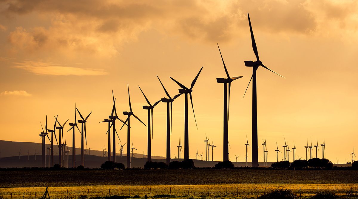 Parque de energía eólica